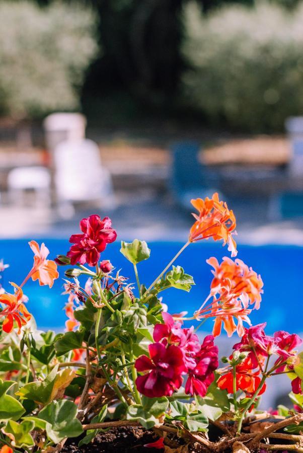 أوماغ Guest House Sosi المظهر الخارجي الصورة