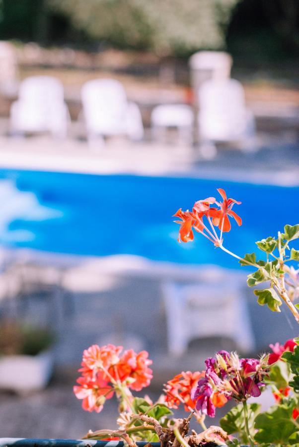 أوماغ Guest House Sosi المظهر الخارجي الصورة